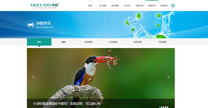 維度時空網(wǎng)站建設(shè)公司